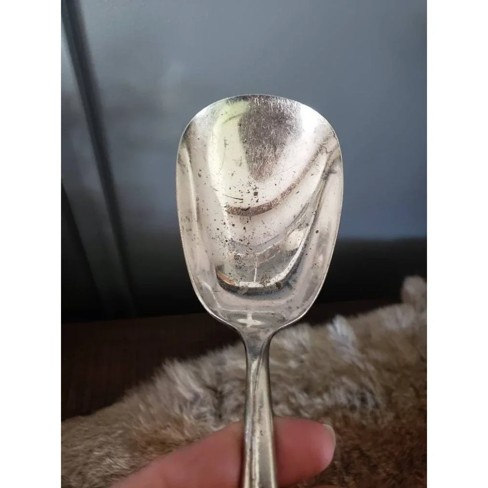1960s WM Rogers & Sons Sea Spray Casserole Spoon Silverplate Serving Replacement